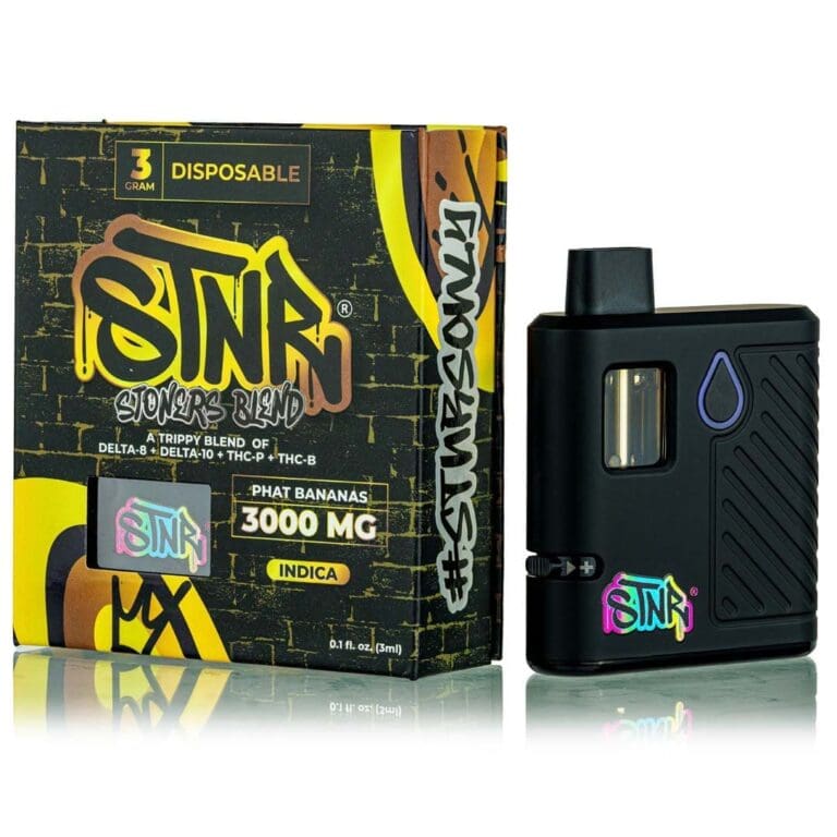 STNR CREATIONS - STNR;s BLEND - 3g DISPOSABLE