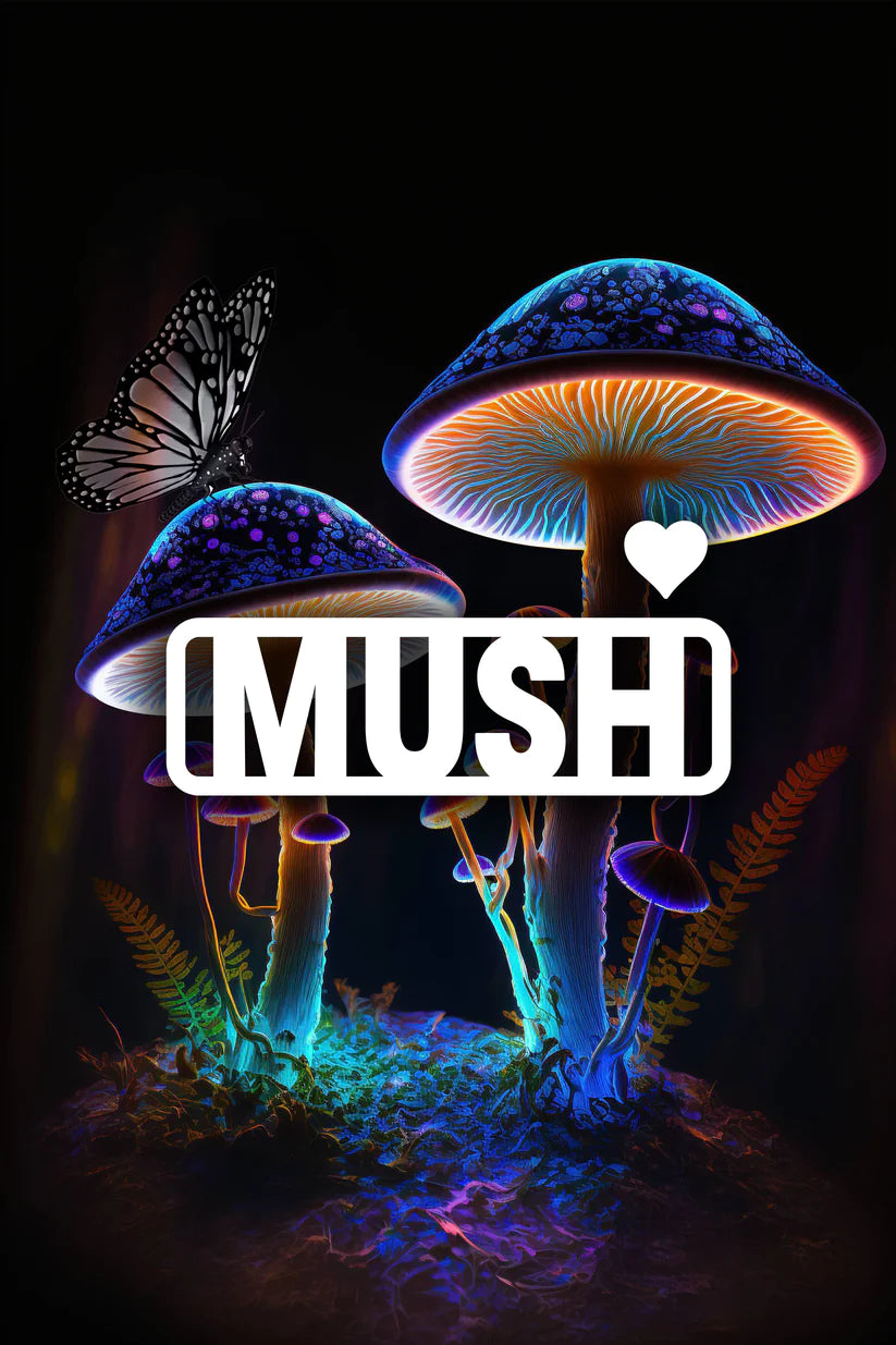 MUSH MAGIG MUSHROOM GUMMIES
